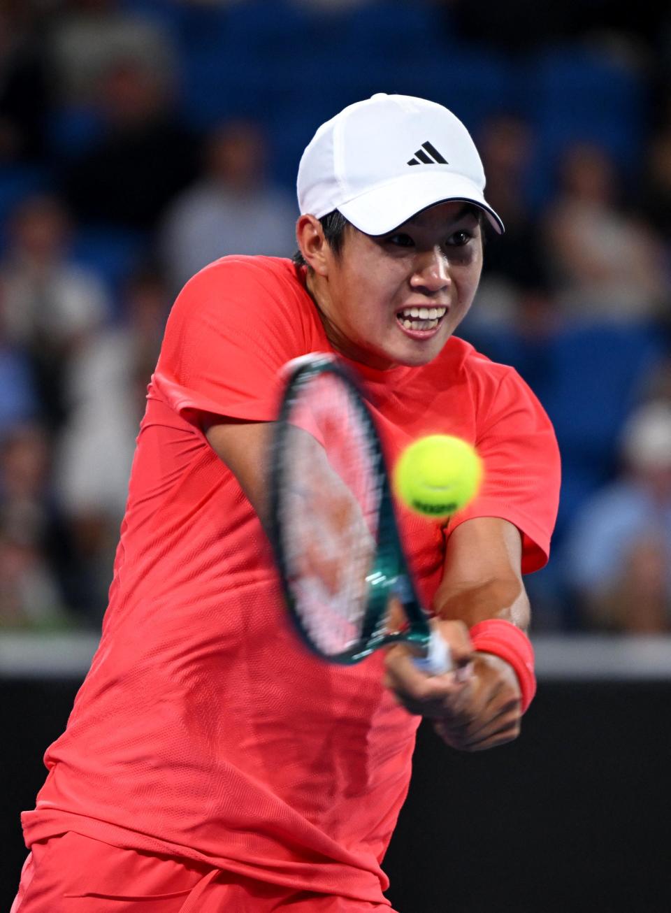 澳网力克年终总决赛,梅德韦杰夫惊艳四座 澳网力克年终总决赛,梅德韦杰夫惊艳四座