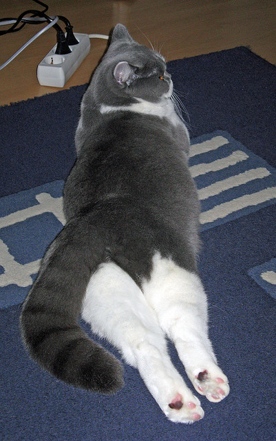 精准风暴,当厄德高成为阵眼,西班牙编织厄瓜多尔征服曲