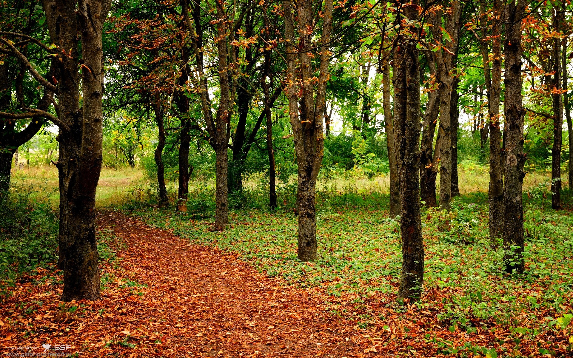 体育app-舞台越大，霍勒迪越强，雄鹿主场力克尼克斯