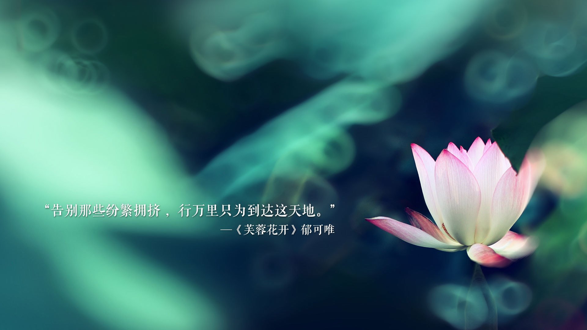 体育中国-沙漠中的最后一抹绿，2026世界杯生死战，哈兰德致命一击终结摩洛哥神话